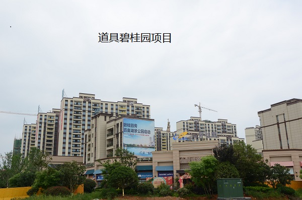 道州碧桂园 (14).JPG