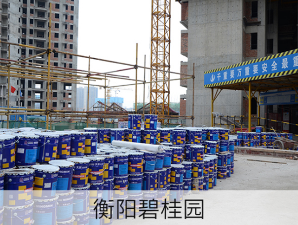 湖南衡阳嘉誉碧桂园